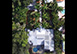 Villa River Pearl Florida Vacation Villa - Fort Myers