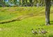 Nalu Kai Hawaii Vacation Villa - Kauai