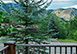 Baldy Views Luxury Idaho Vacation Villa - Sun Valley