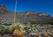 The Hacienda at Armendaris New Mexico Vacation Villa - Ted Turner Reserves