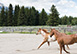 On the Range Wyoming Vacation Villa - Jackson Hole