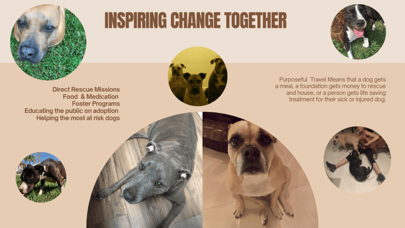 Purposeful travel area