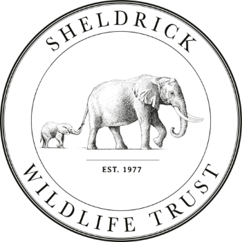 Sheldrick Wildlife Trust